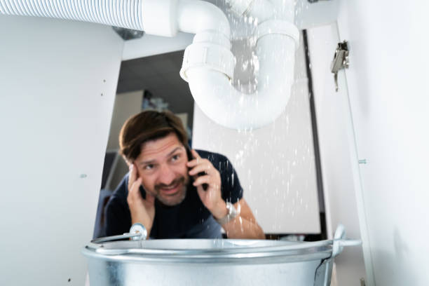 Best Drain Cleaning Services  in Woodland, CA