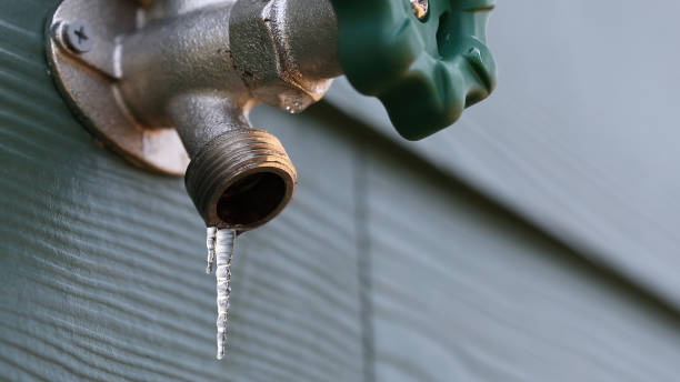 Best Shower Repair Services  in Woodland, CA